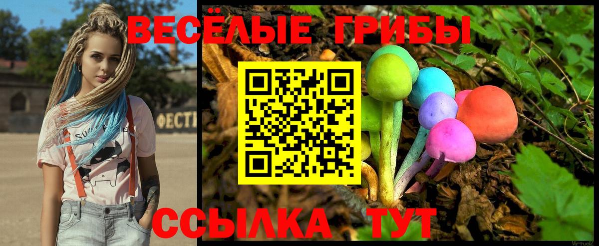 Псилоцибиновые грибы Cubensis Чапаевск