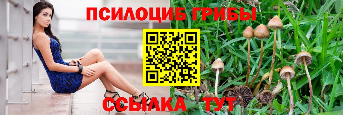 Чапаевск  цена   Вход с VPN  Псилоцибиновые грибы ЛСД  Псилоцибиновые грибы Psilocybe 